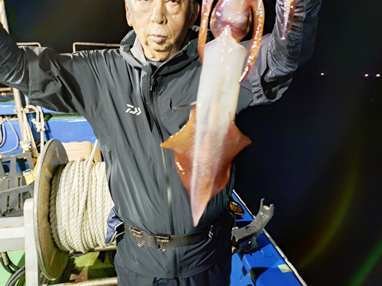 マイカ(ケンサキイカ)