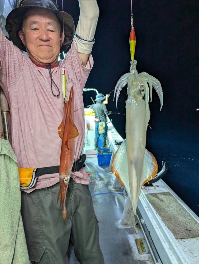 イカ(ケンサキイカ)