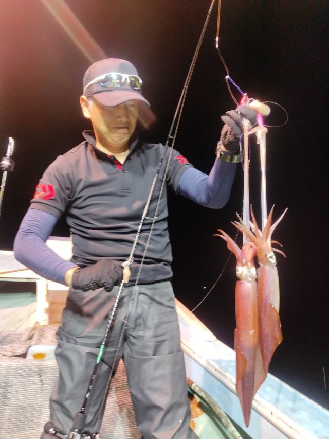 イカ(ケンサキイカ)