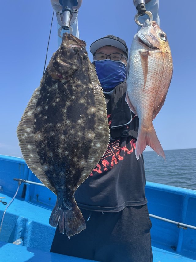 マダイ・ヒラメ