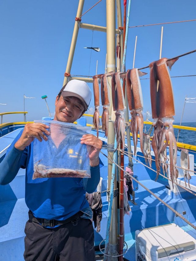 スルメ(スルメイカ)