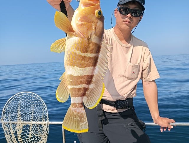 アオハタ