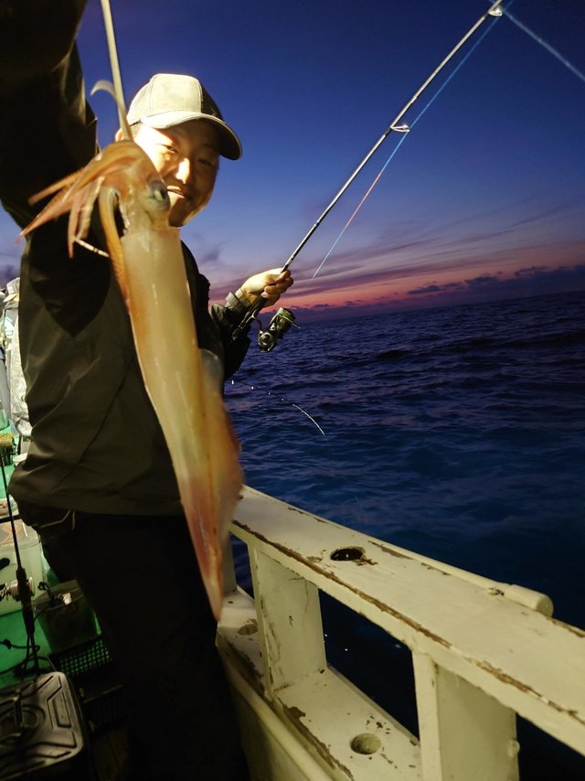 シロイカ(ケンサキイカ)