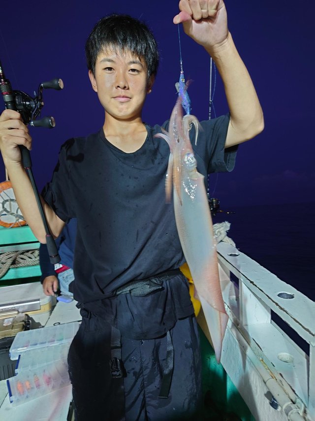 シロイカ(ケンサキイカ)