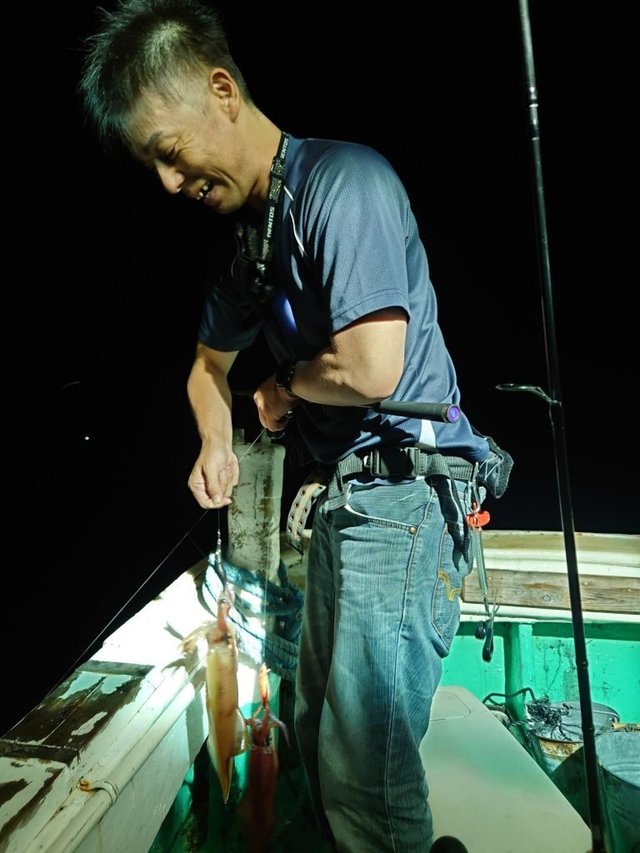 シロイカ(ケンサキイカ)