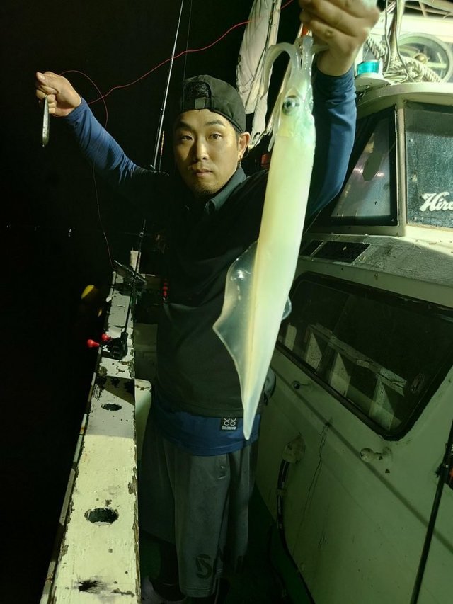 シロイカ(ケンサキイカ)