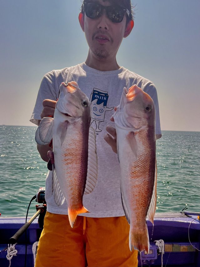 アマダイ(アカアマダイ)