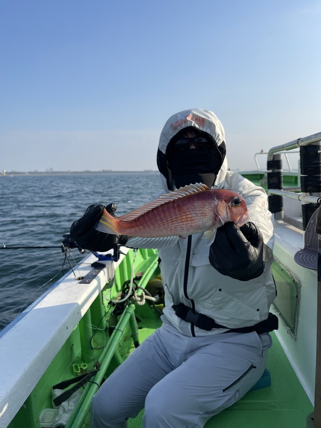 アマダイ(アカアマダイ)