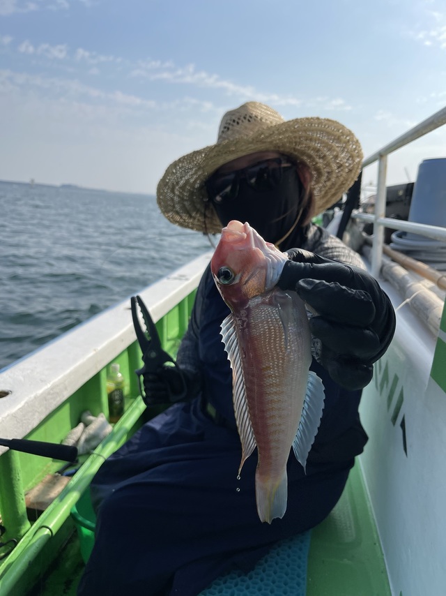 アマダイ(アカアマダイ)