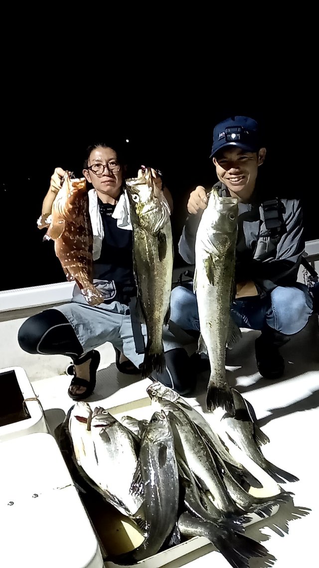 シーバス(スズキ)・キジハタ