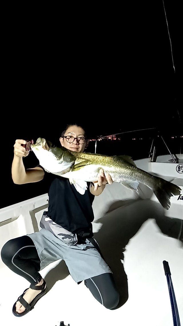 シーバス(スズキ)