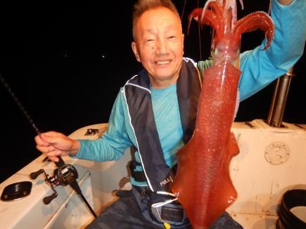 シロイカ(ケンサキイカ)