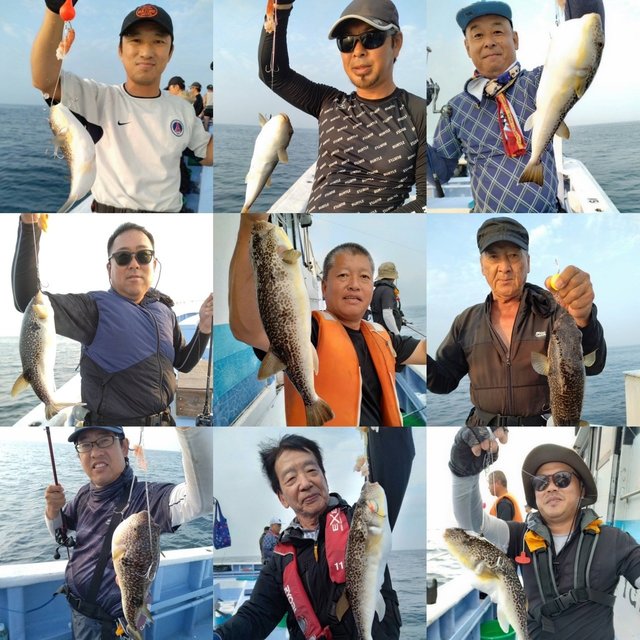 ショウサイフグ