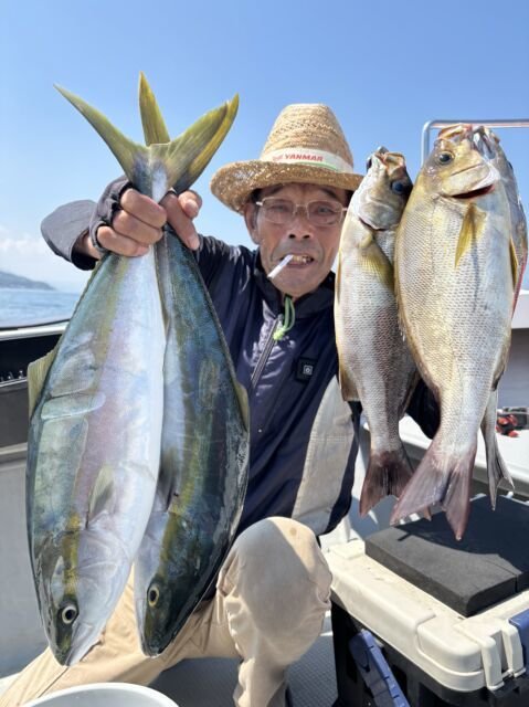 ハマチ(ブリ)・イサキ