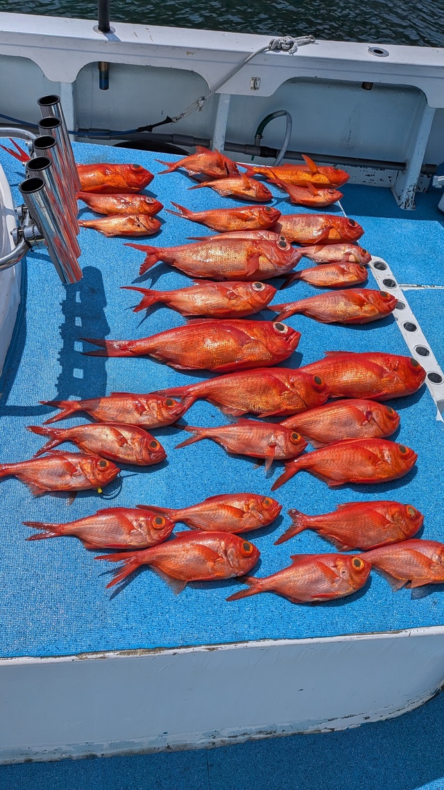 キンメ(キンメダイ)