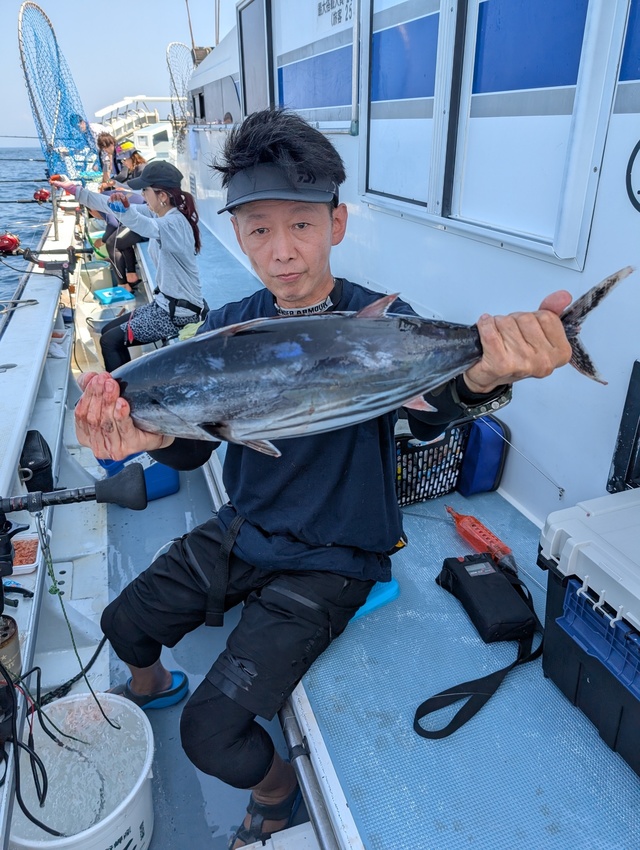 ホンガツオ(カツオ)