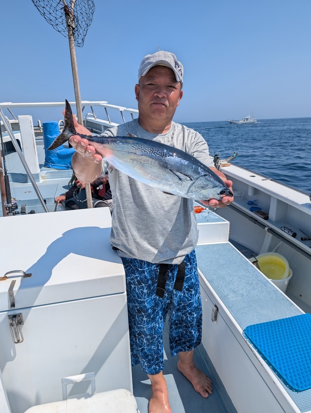 ホンガツオ(カツオ)