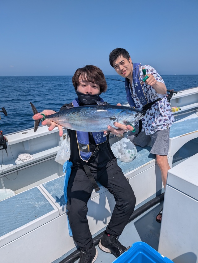 ホンガツオ(カツオ)