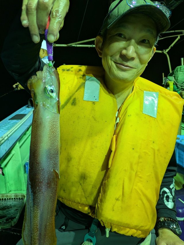 イカ(ケンサキイカ)