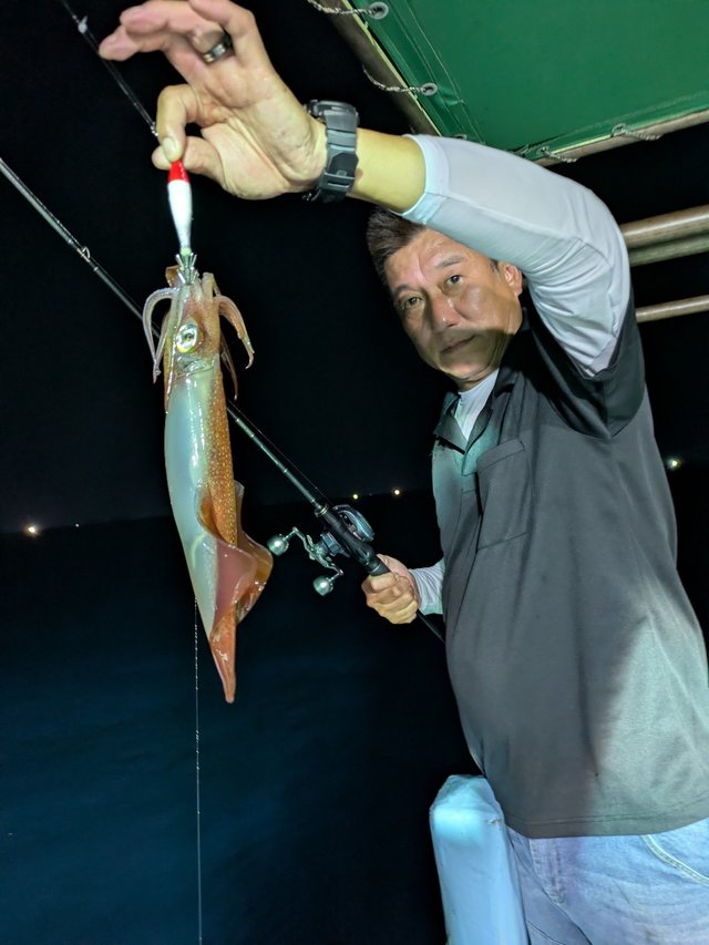 イカ(ケンサキイカ)