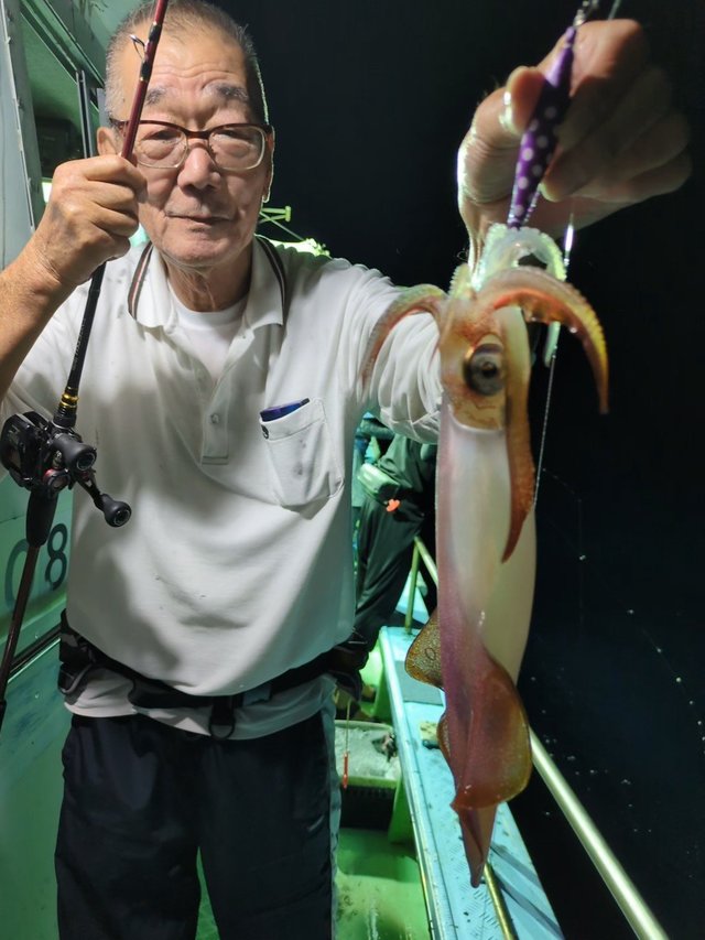 イカ(ケンサキイカ)