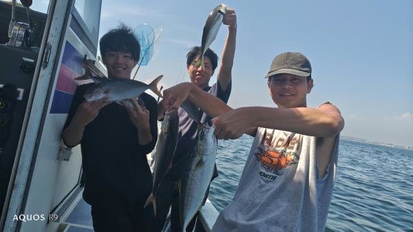 マアジ・サバ(ゴマサバ)