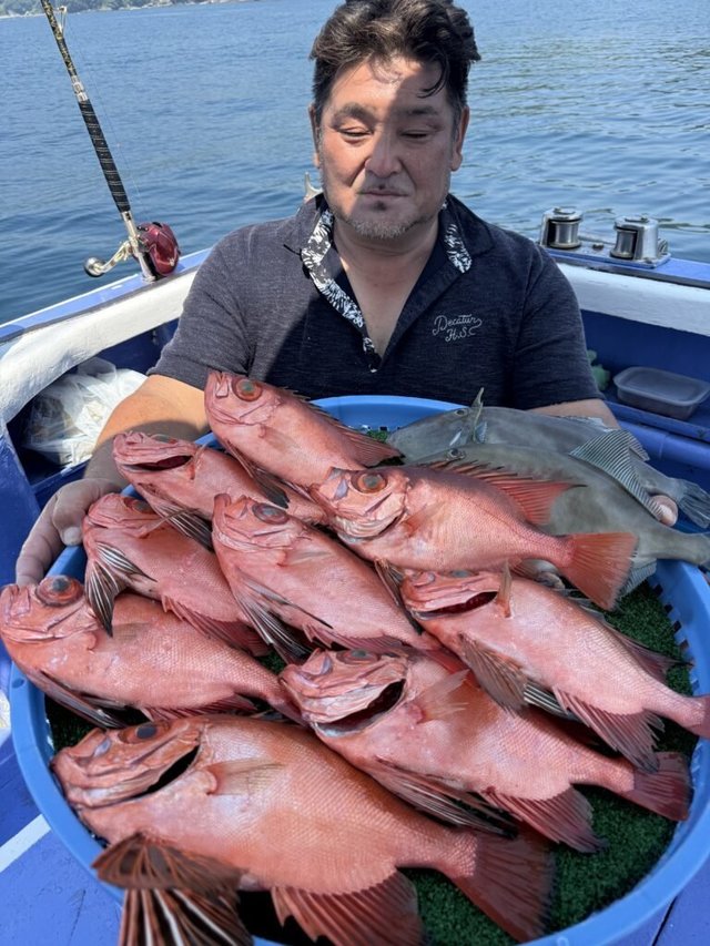 チカメ(チカメキントキ)