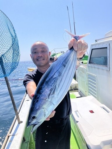 ホンカツオ(カツオ)