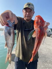 クロムツ・ホウボウ