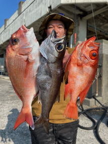 マダイ・キントキ(チカメキントキ)・クロムツ