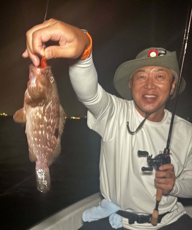 アコウ(キジハタ)