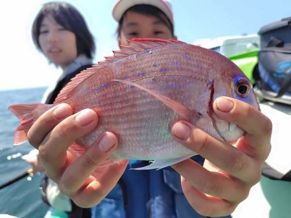 ハナダイ(チダイ)