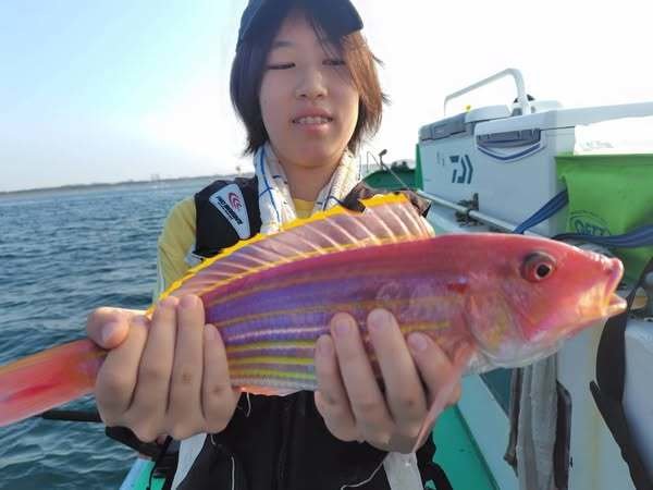 イトヨリ(イトヨリダイ)