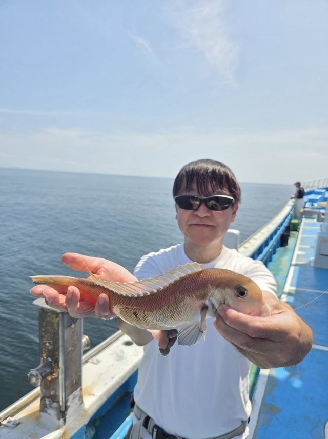 アマダイ(アカアマダイ)