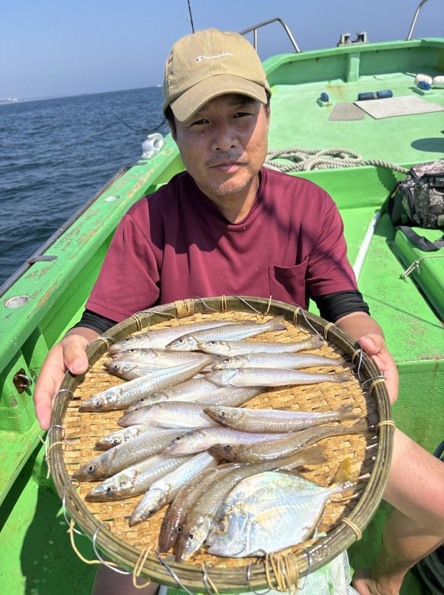 キス(シロギス)