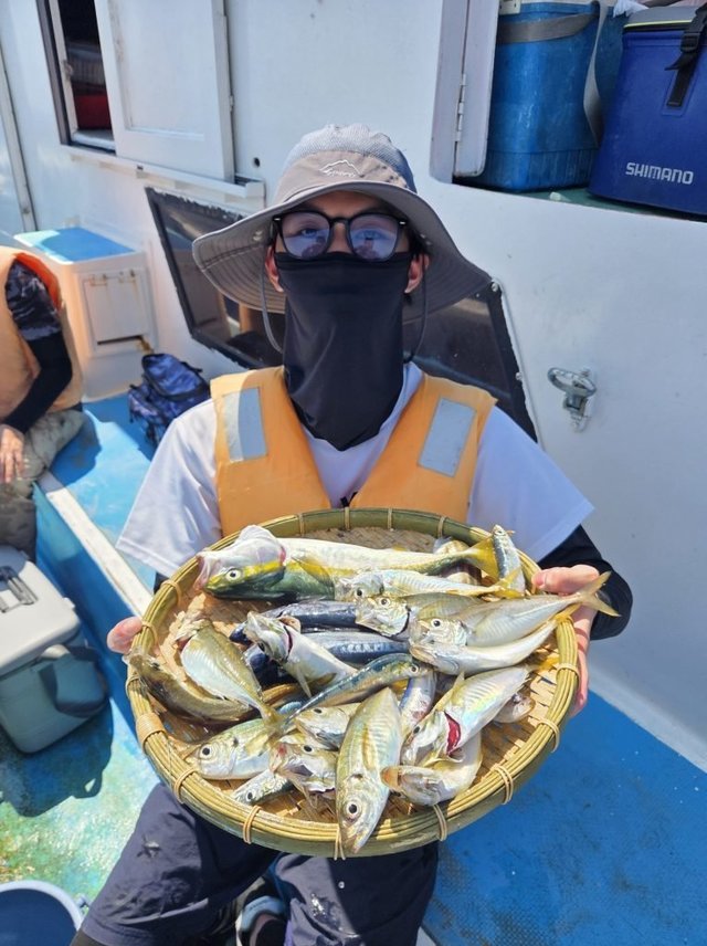 アジ(マアジ)・イナダ(ブリ)