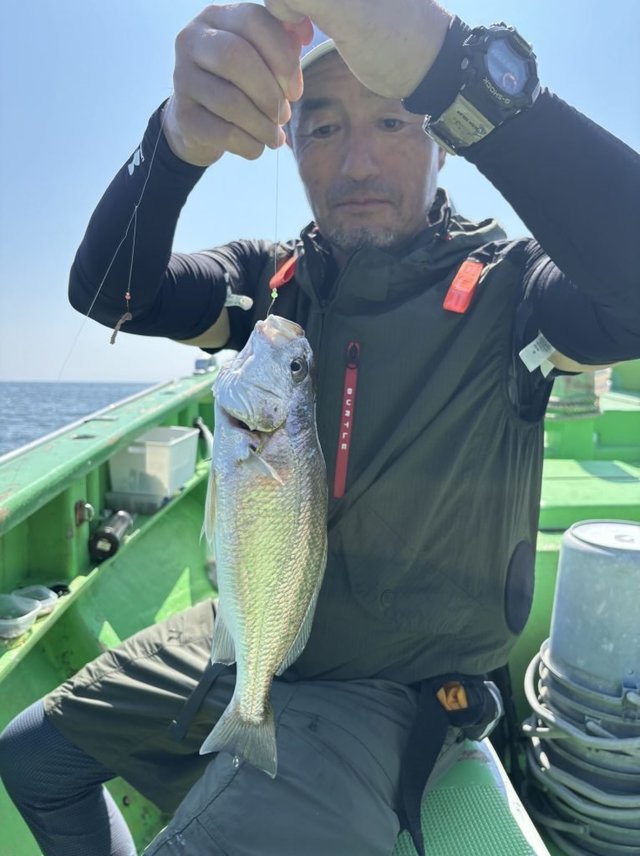 イシモチ(シログチ)