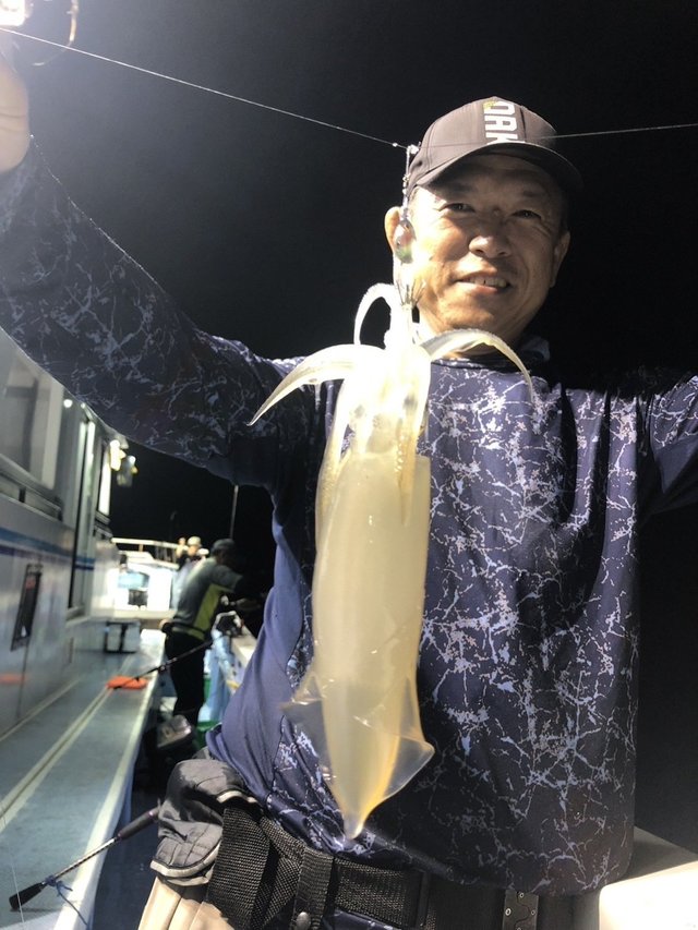 マルイカ(ケンサキイカ)