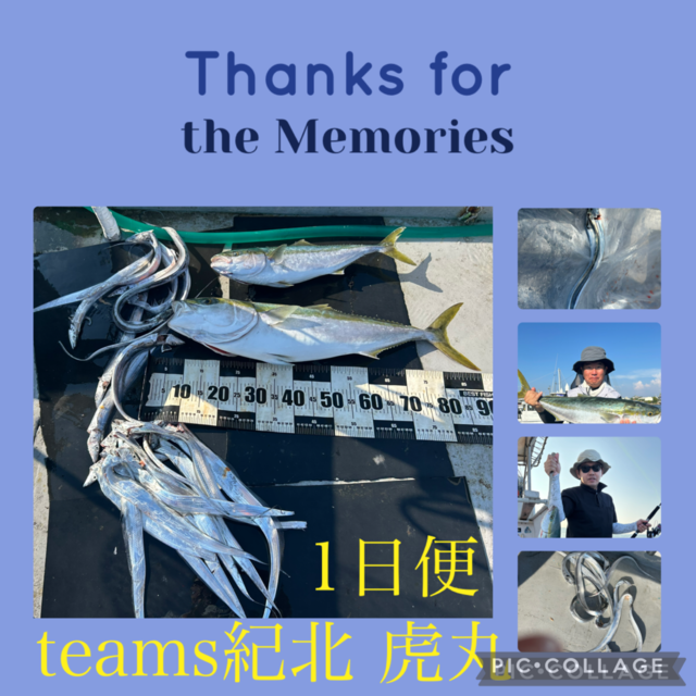 ブリ・メジロ(ブリ)・タチウオ