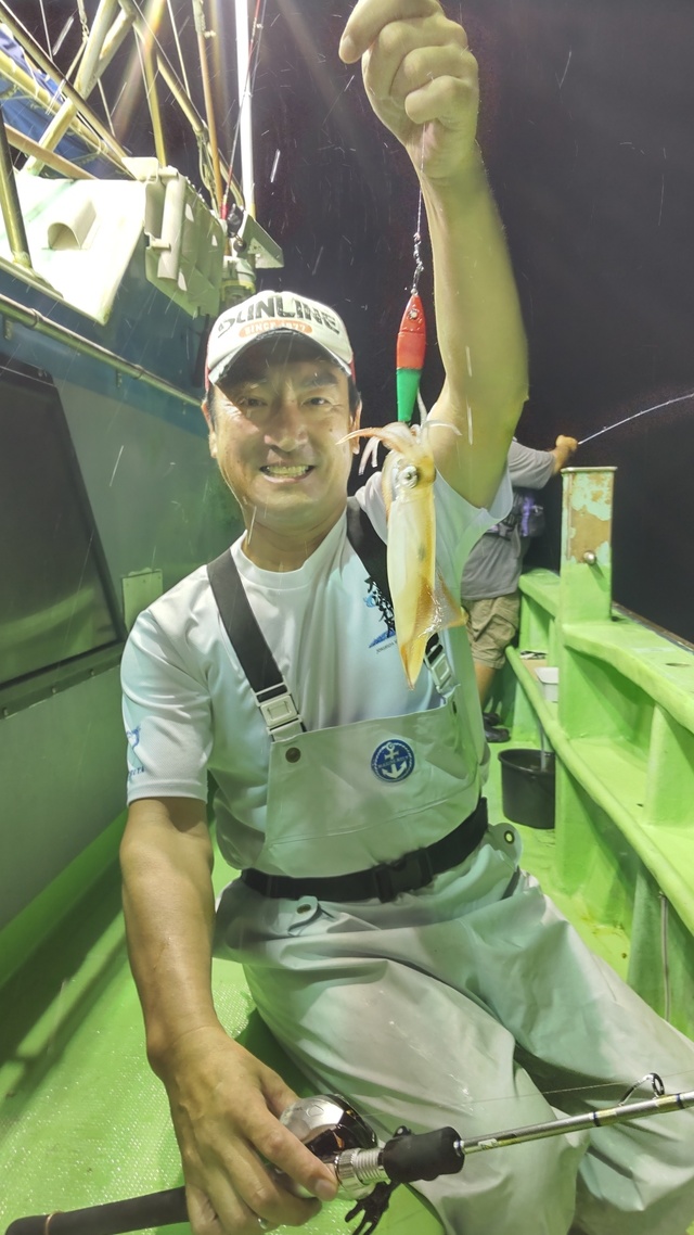 マルイカ(ケンサキイカ)