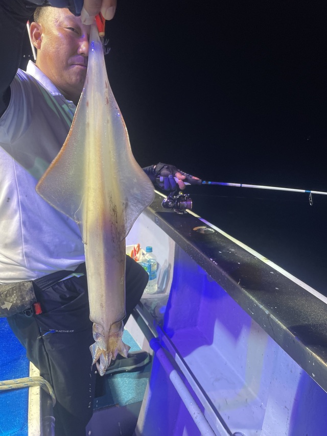 マルイカ(ケンサキイカ)