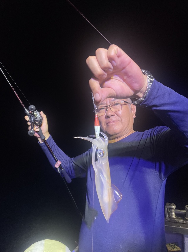 マルイカ(ケンサキイカ)