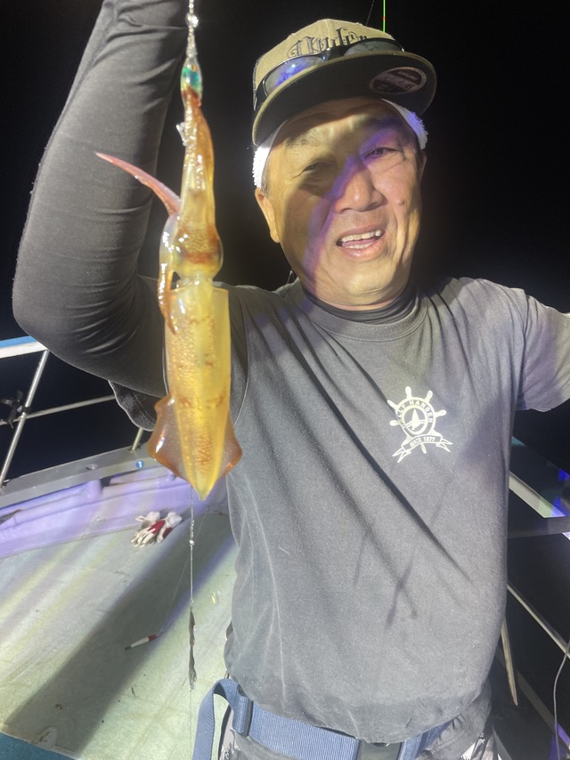 マルイカ(ケンサキイカ)