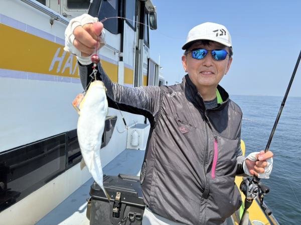 ショウサイフグ