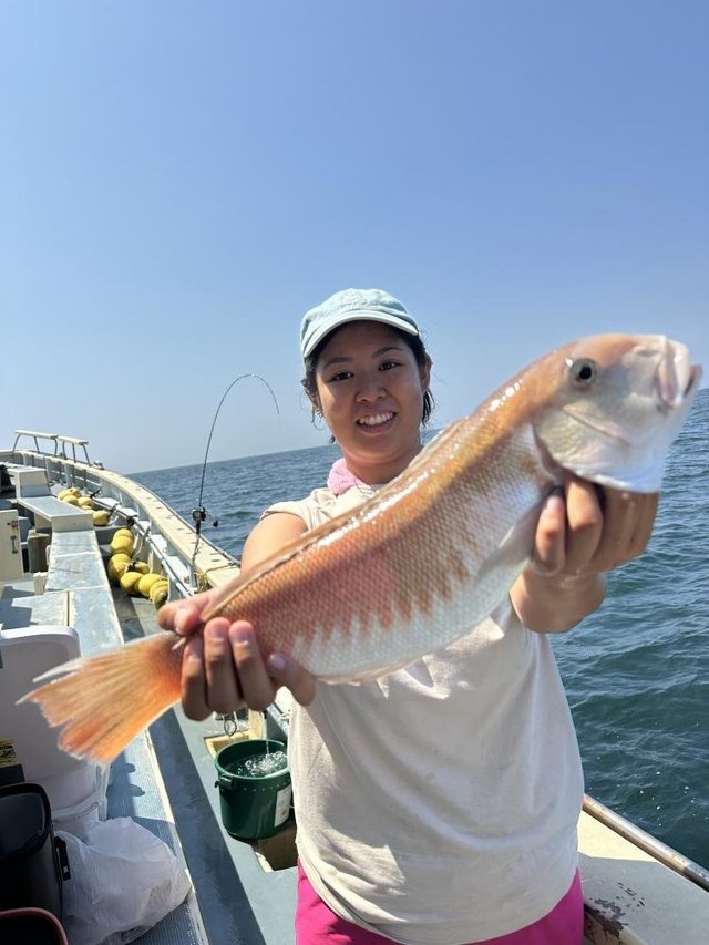 アマダイ(アカアマダイ)