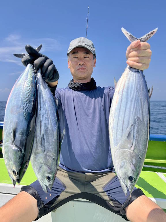 ホンガツオ(カツオ)