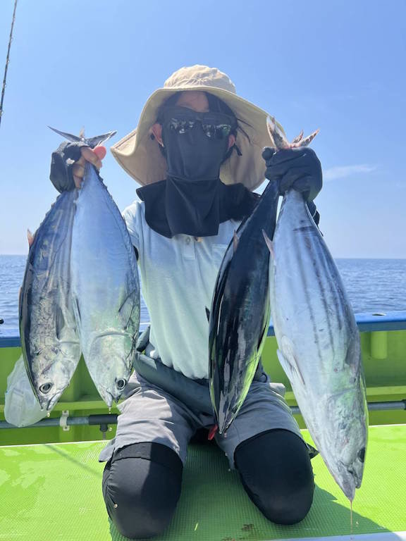 ホンガツオ(カツオ)・ソーダガツオ(ヒラソウダ)