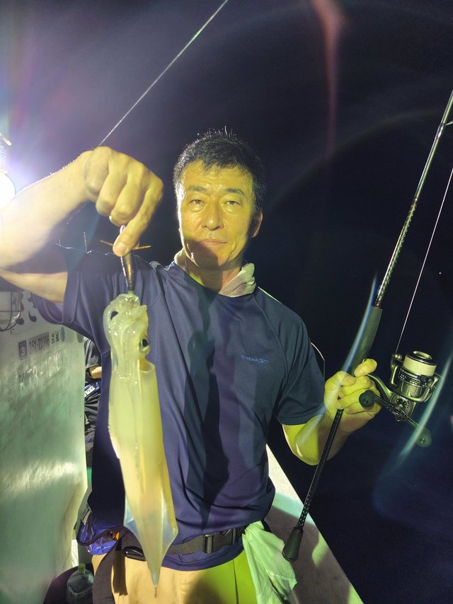 シロイカ(ケンサキイカ)