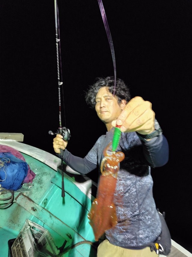 シロイカ(ケンサキイカ)