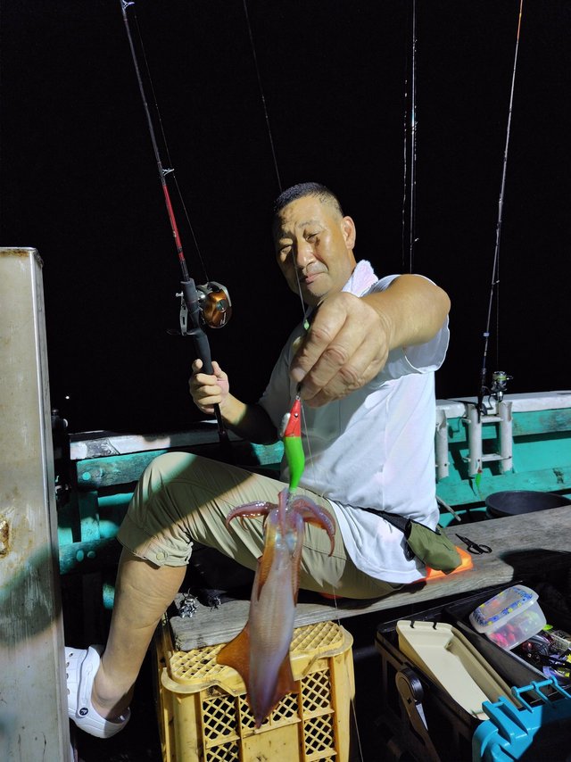 シロイカ(ケンサキイカ)